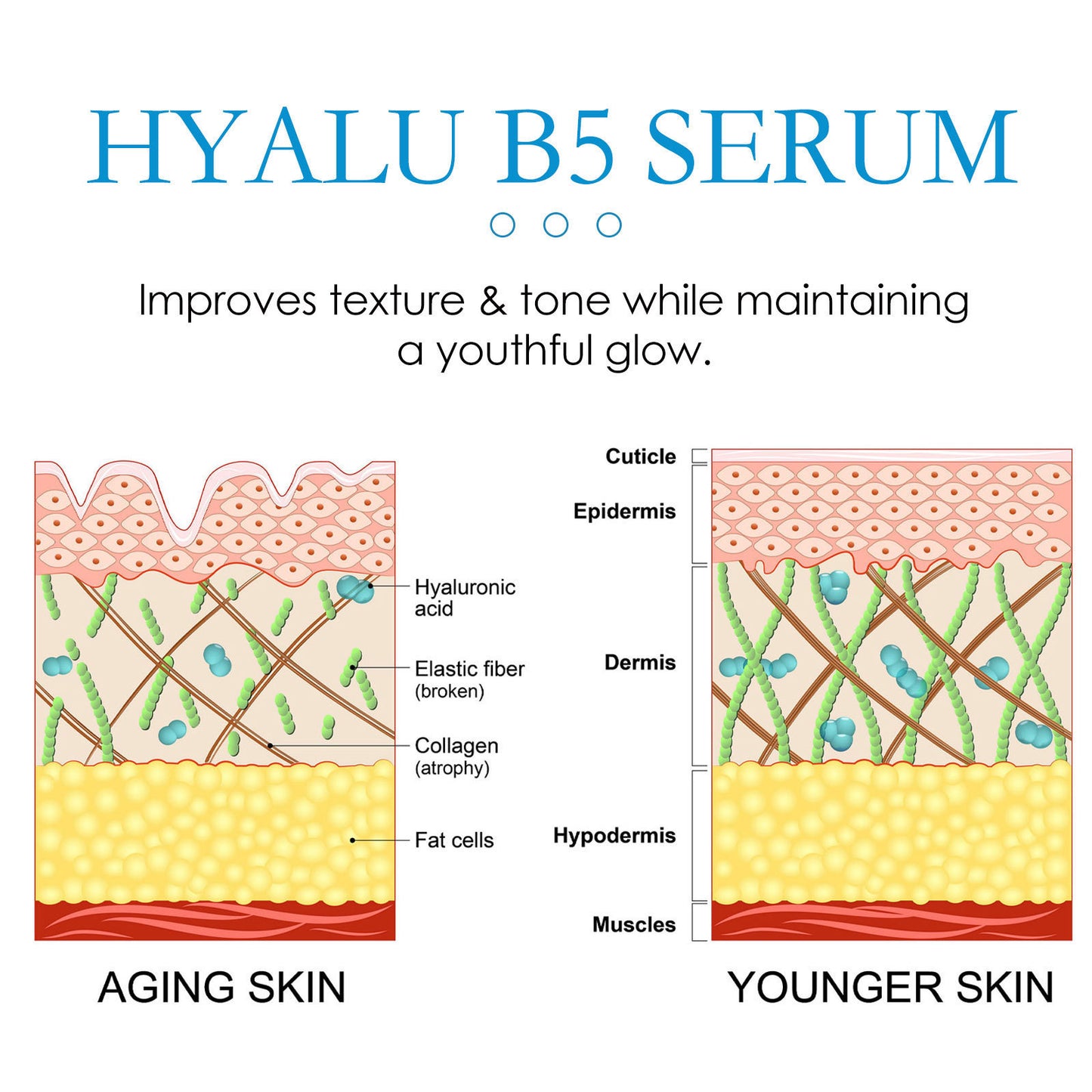 Hoygi Anti-wrinkle Firming B5 Moisturizing - EZ Beauty Lashes