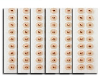 Transparent Magnetic Beads Ear Acupuncture Point Patch Wang Bu Liuxing Seed - EZ Beauty Lashes