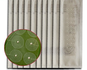 Transparent Magnetic Beads Ear Acupuncture Point Patch Wang Bu Liuxing Seed - EZ Beauty Lashes