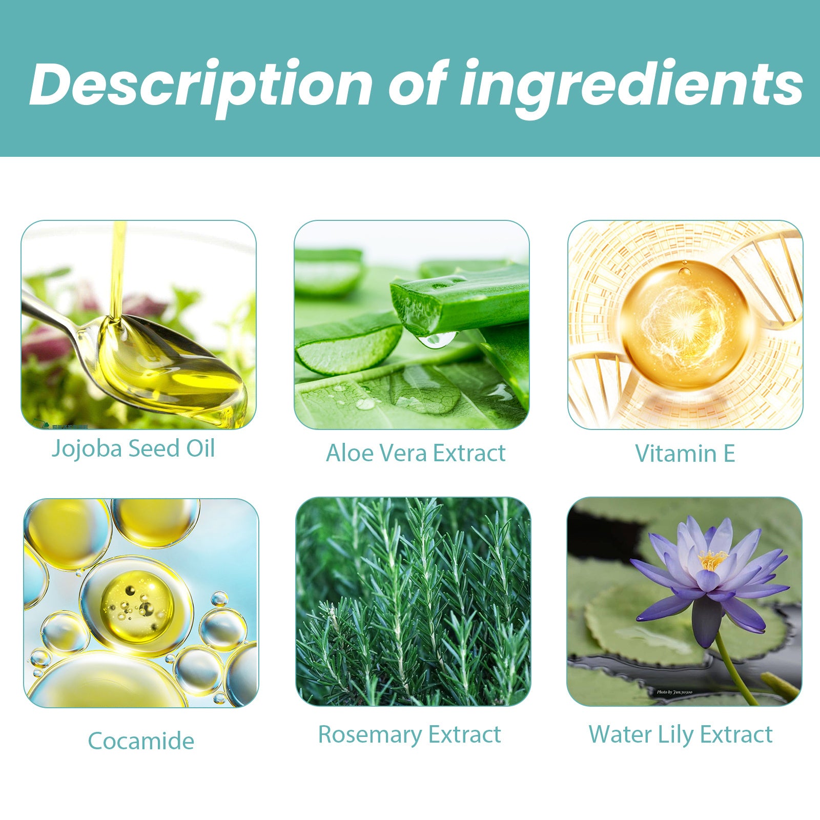 Shower Oil Body Cleansing Repairing Skin Moisturizing Lubricating Skin Care Shower Oil - EZ Beauty Lashes
