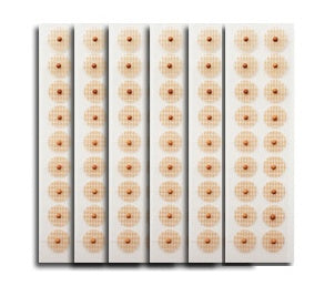 Transparent Magnetic Beads Ear Acupuncture Point Patch Wang Bu Liuxing Seed - EZ Beauty Lashes