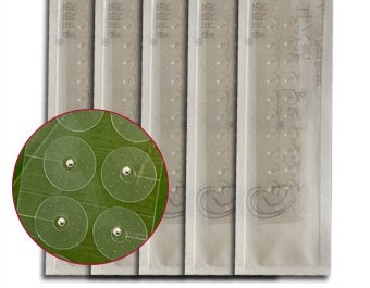 Transparent Magnetic Beads Ear Acupuncture Point Patch Wang Bu Liuxing Seed - EZ Beauty Lashes